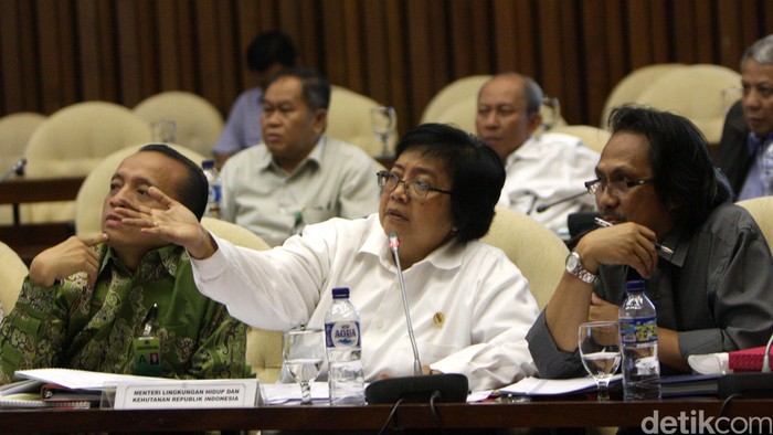 KLH Ungkap 23 Perusahaan yang Terlibat Kebakaran Hutan, ini Daftarnya