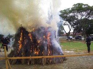 Kapolri Pimpin Pembakaran 1,7 Ton Ganja Kering di Mapolda Aceh
