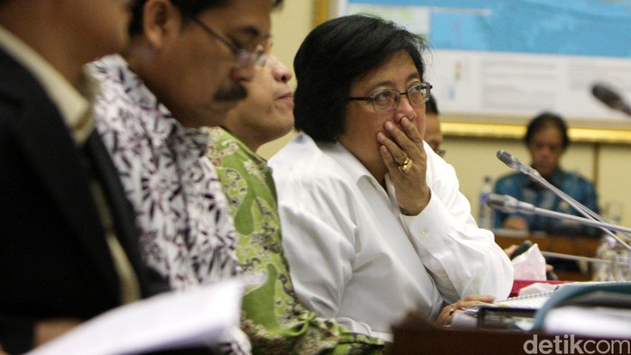 Publik Bisa Akses Daftar Perusahaan Penyebab Kebakaran Hutan