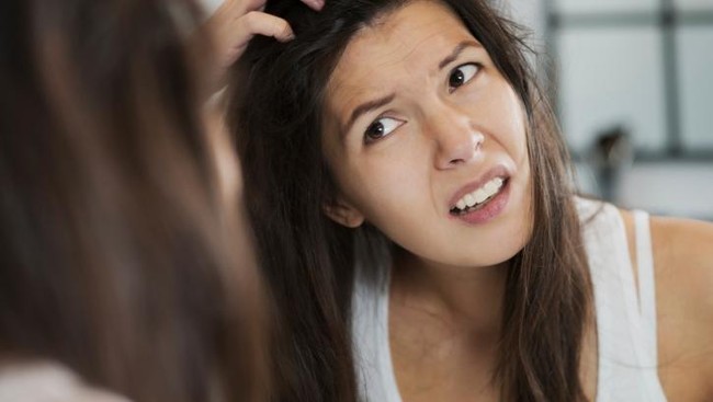 5 Fakta Tentang Kutu Rambut yang Harus Diketahui 5 Fakta Tentang Kutu Rambut yang Harus Diketahui