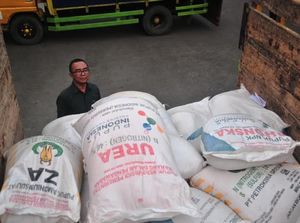 Subsidi Pupuk dan Beras, Jokowi Kucurkan Dana Rp 51 T Tahun Ini