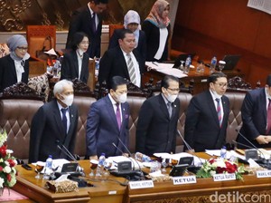 Di Era Jokowi, 24 Orang Meninggal karena Kebakaran Hutan