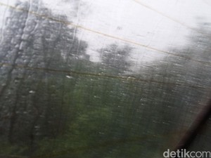 Hujan Angin di Bogor Juga Gulingkan Gerobak Dagangan