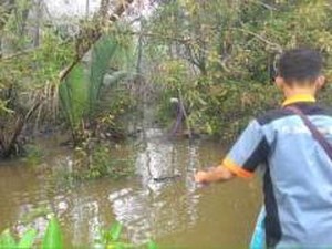 Pipa Minyak PetroChina di Jambi Dilubangi Pencuri