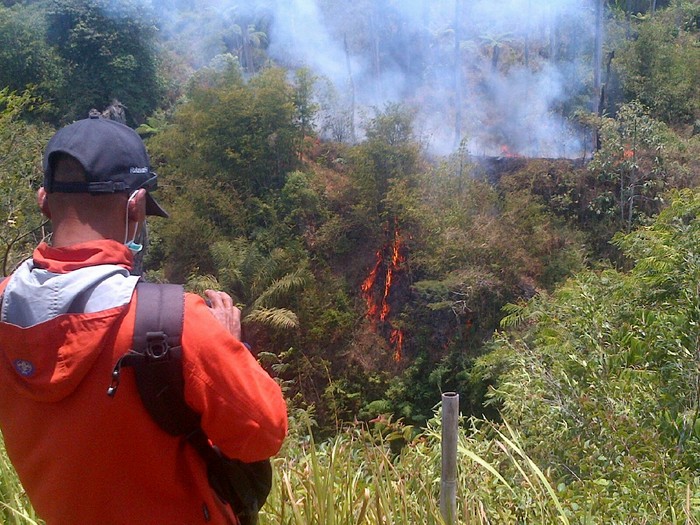 Api Belum Padam, ini Penampakan dari Dekat Kebakaran Hutan Gunung Merapi