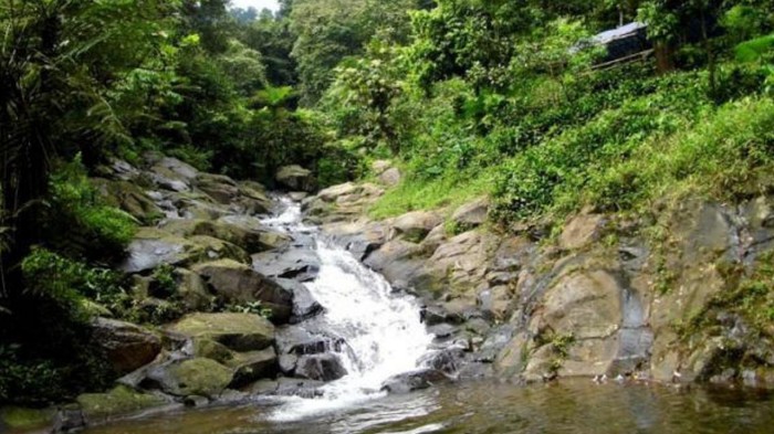 Bupati Purwakarta Borong 100 Mata Air dan Air Terjun Milik Warga