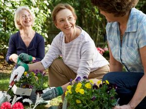 Berkebun Ternyata Menyehatkan Bagi Pria Lanjut Usia