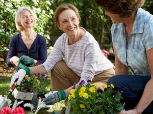 Yuk Berkebun, Lingkungan Jadi Asri dan Kesehatan Mental Terjaga