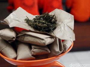 Kasus Anak Ketua DPRD Badung, ORI Bali Minta Polisi Terbuka