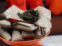 2 Mahasiswa di Ambon Kedapatan Bawa 1 Paket Ganja Ditangkap