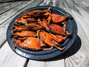 Di California, 2 Jenis Kepiting Ini Bisa Bahayakan Kesehatan