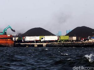 Harga Batu Bara Tembus US$ 100/Ton, Ini Respons Pengusaha