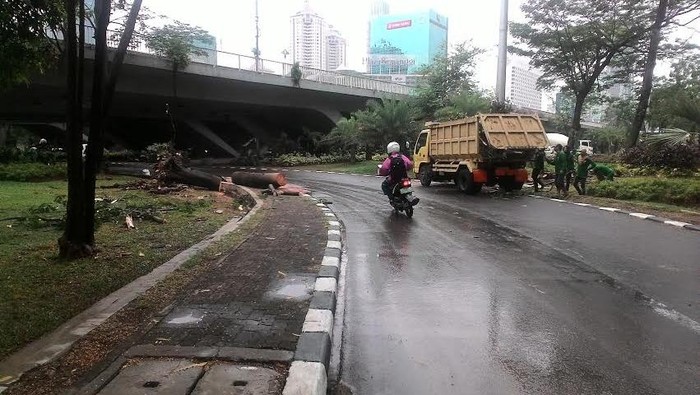 Pohon Tumbang di Kolong Semanggi Sudah Disapu Bersih