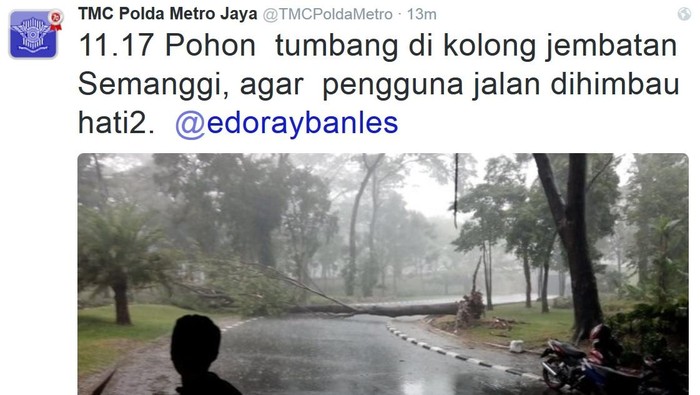 Hujan Deras dan Angin Kencang, Pohon di Kolong Jembatan Semanggi Tumbang