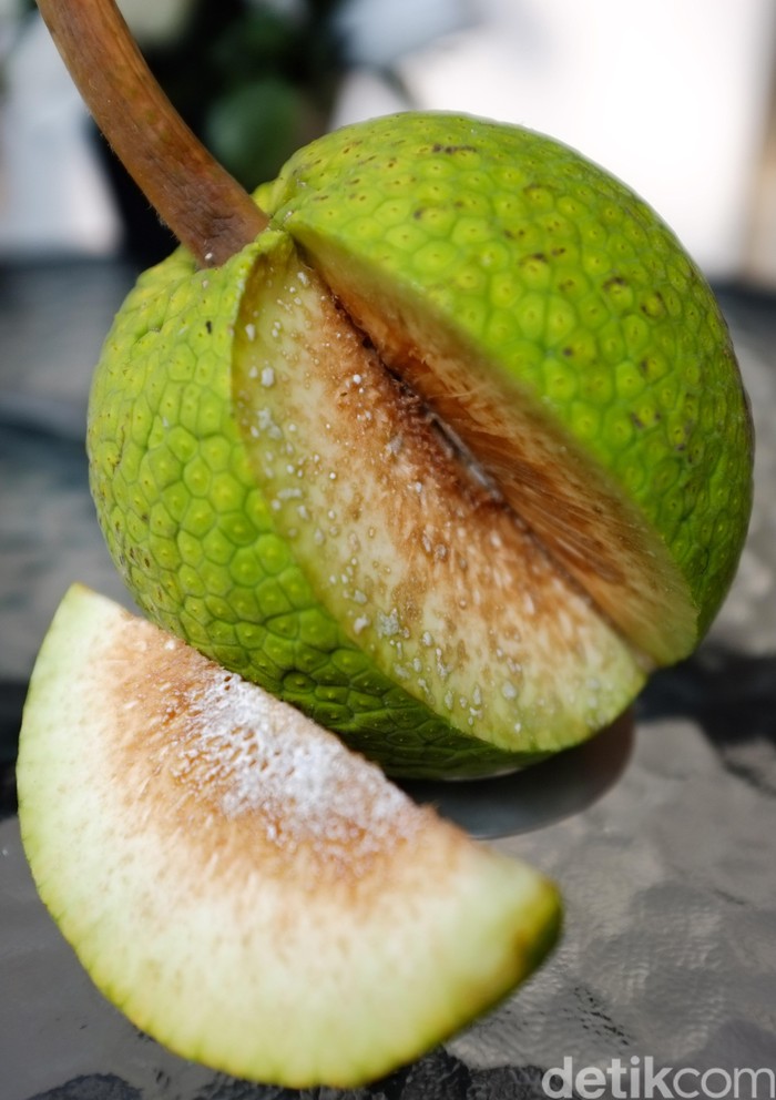 Sukun adalah nama sejenis pohon yang berbuah. Buah sukun tidak berbiji dan memiliki bagian yang empuk, yang mirip roti setelah dimasak atau digoreng. Karena itu, orang-orang Eropa mengenalnya sebagai buah roti  . dikhy sasra/ilustrasi/detikfoto