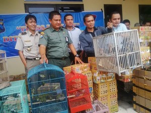 1.005 Ekor Burung Diamankan dari Kapal di Pelabuhan Tanjung Perak