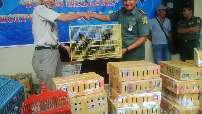 Burung yang Diamankan dari Kapal ini Dijual di Semarang dan Surabaya