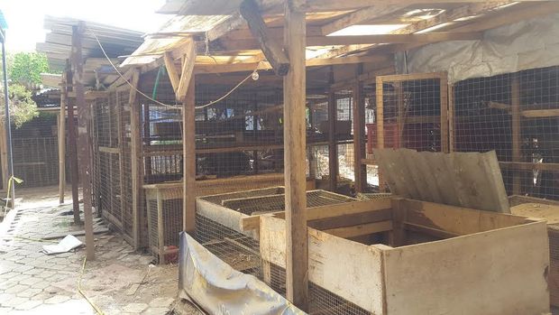 Teriakan Terakhir Engeline: Mama, Sakit...