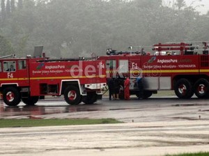 Lanud Adisutjipto Diserbu Ribuan Burung Bangau