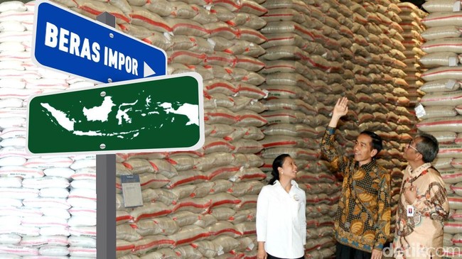 Ada Batas Waktu, RI Hanya Impor 346.000 Ton Beras