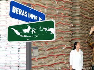 Terobosan Baru Memperkuat Cadangan Beras Nasional