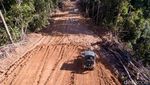 Foto: Wow! Jokowi Bangun Jalan Ribuan Kilometer di Kalimantan dan Papua