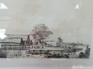 Orang Makassar Kulak Teripang 137 Tahun di Wilayah Aborigin, Ada Diasporanya?