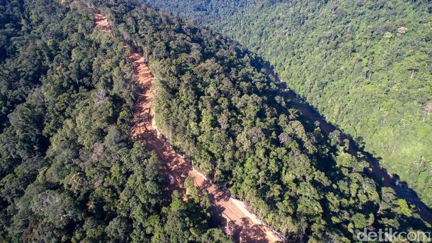 Hutan belantara di perbatasan Indonesia-Malaysia 'disulap' menjadi akses jalan. Salah satu jalan yang saat ini sedang dibangun adalah ruas Mensalong-Tou Lumbis di Provinsi Kalimantan Utara. Istimewa/dok Kemen PU