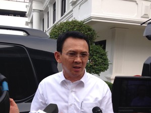 Temui Jokowi, Ahok Bicara Soal Sapi