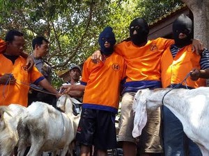 Komplotan Maling Ternak Berhasil Dibekuk