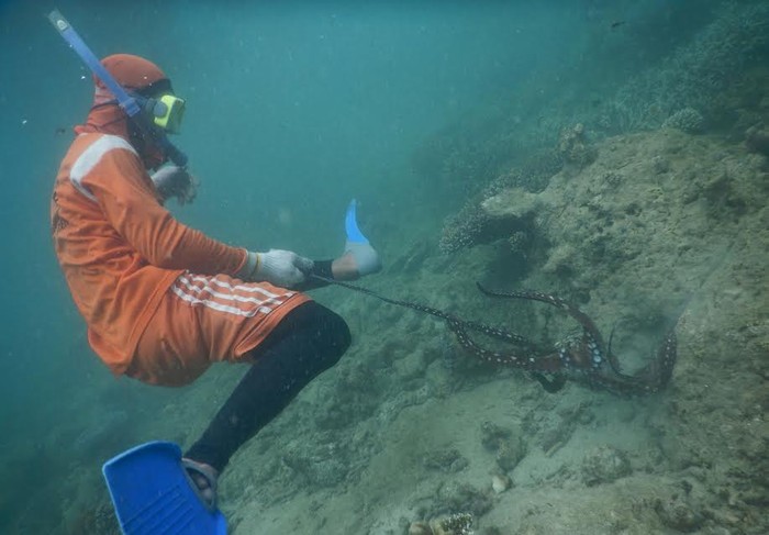 Serunya Melihat Anak Pulau Nasi Mencari Gurita