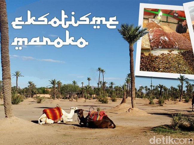 Bertualang ke Marrakesh