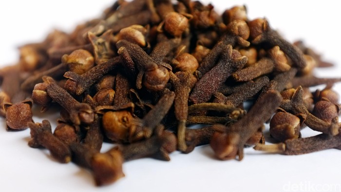 Cengkeh bumbu masak asli Nusantara. dikhy sasra/ilustrasi/detikfoto