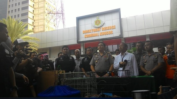 Sindikat ini Jual Beruang Madu hingga Macan Dahan Lewat Facebook