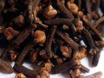 Temuan Cesium-137 di Cengkeh, Pemprov Lampung Tunggu Arahan Pusat