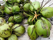 Curi 12 Butir Kelapa, Remaja di Tasikmalaya Nyaris Dihakimi Massa