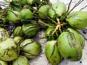 Curi 12 Butir Kelapa, Remaja di Tasikmalaya Nyaris Dihakimi Massa