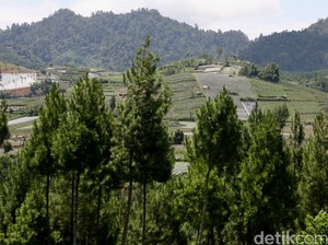 7 Pengertian Desa Menurut Para Ahli