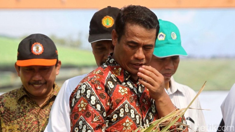 Menteri Amran, Aman dari Reshuffle Setelah Dipuji Jokowi Menteri Amran, Aman dari Reshuffle Setelah Dipuji Jokowi