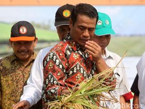 Mentan: Maret-Mei Tersedia 17 Juta Ton Beras