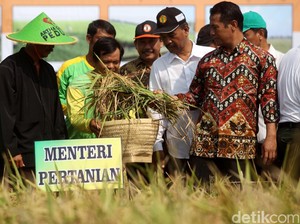 Stok Beras Hampir 2 Juta Ton, Kementan: Sampai Mei 2017 Aman