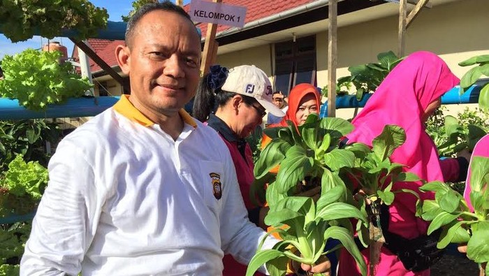 Sukses Kebun Sayur Hidroponik di Polda Kalbar