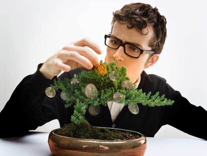 Meletakkan Tanaman Hias di Dalam Rumah Bikin Sehat atau Tidak?