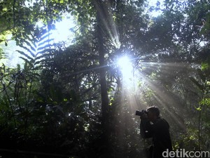 Sederet Upaya KLHK Jaga Kelestarian Keanekaragaman Hayati dengan Hati-hati