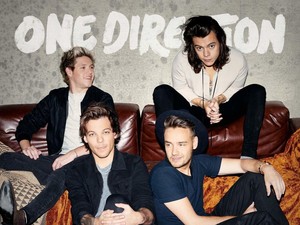 Made In The A.M., One Direction Rasa Band
