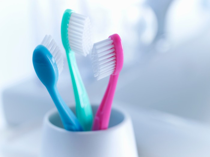 Close up of toothbrushes in holder