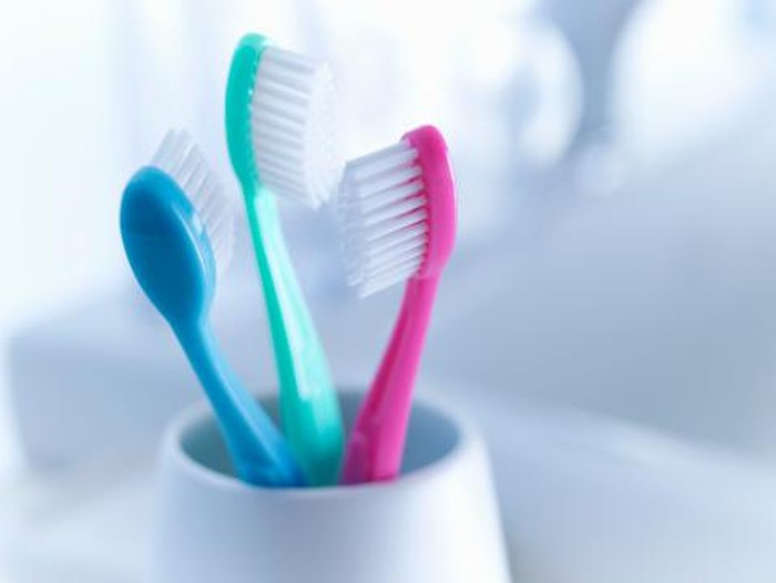 Close up of toothbrushes in holder