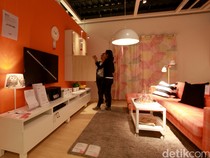 Lowongan Magang IKEA buat Mahasiswa, Cek Syaratnya di Sini!