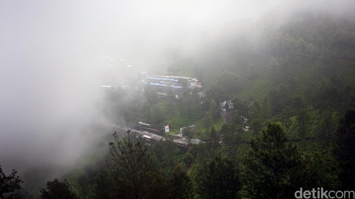 Kabut menyelimuti kawasan puncak, bogor.  dikhy sasra/ilustrasi/detikfoto