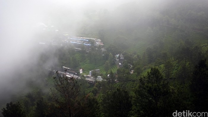Kabut menyelimuti kawasan puncak, bogor.  dikhy sasra/ilustrasi/detikfoto
